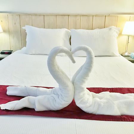 Amsterdam Home Екстериор снимка